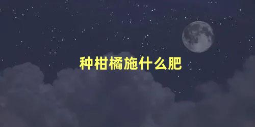 种柑橘用什么肥料最好(柑橘种植施肥)